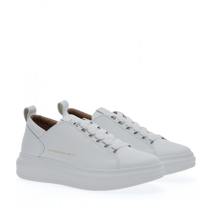 ALEXANDER SMITH WYM 2263