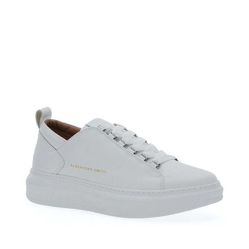 ALEXANDER SMITH WYM 2263